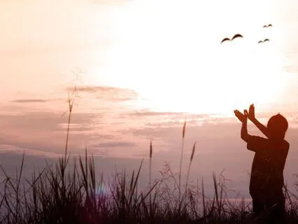 The Five Aggregates And The Freedom Of Not Holding On