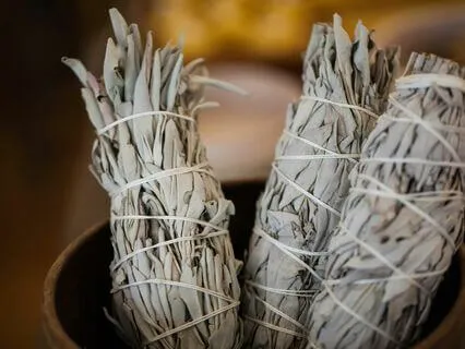 The Five Aggregates Of Clinging