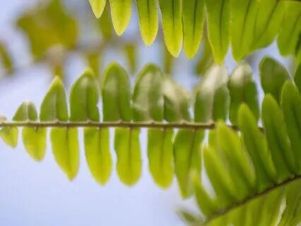 The Five Agreements: A Path To Happiness, Freedom & Joy