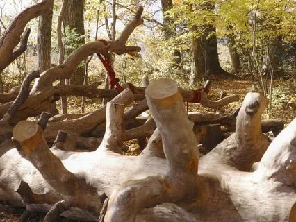 The Five Elements: Seeing The Interconnectedness Of All