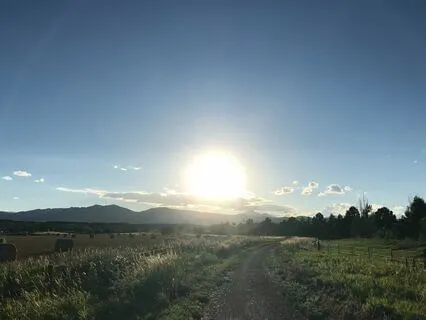 The Five Pillars Of Happiness