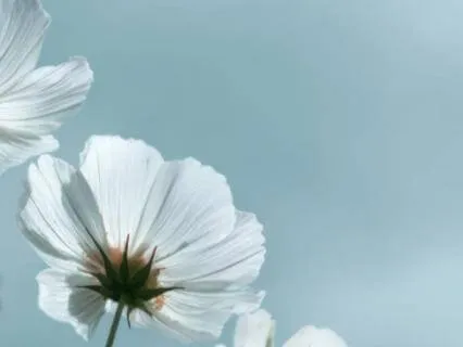 The Five Sheaths: A Meditation On Inner Freedom