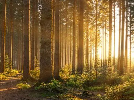 The Five Stages Of Spiritual Growth -- An Insightful Talk