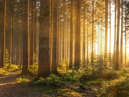 The Five Stages Of Spiritual Growth Meditation