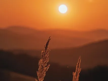 The Flames We Hide · 2 — Envy: The Scarcity Mirage