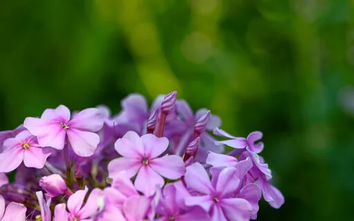 The Flow Of Breath (With Music)