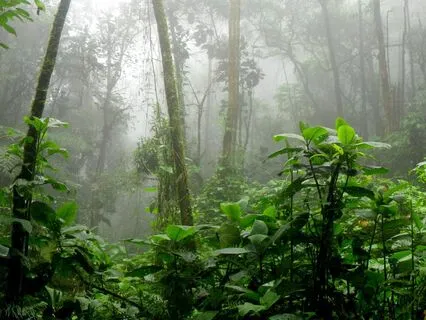 The Flow State: 10 Hz Alpha Waves