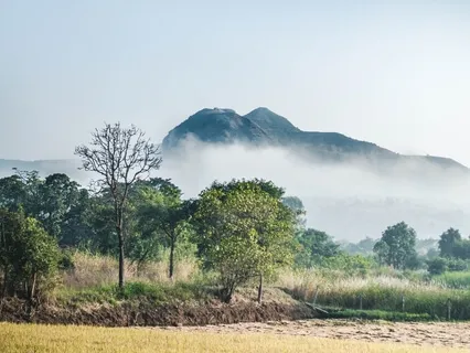 Talk: The Foreground & Background Of Mindfulness