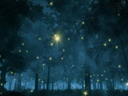 The Forest Settles For The Night: An Extended Bedtime Story