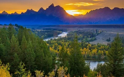 The Forest Speaks Guided Meditation