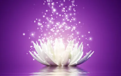 The Forgiveness Meditation: A Journey To Release The Past