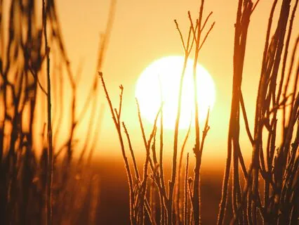 The Four Agreements: 5-Minute Silent Meditation