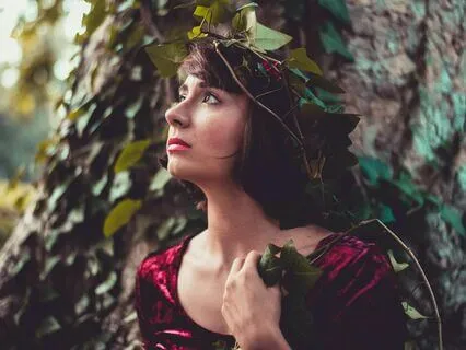 The Four Brothers And The Princess