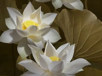 The Four Frames Of Reference Part 2- Feeling Tones