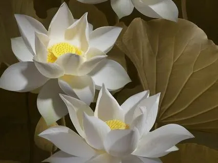 The Four Frames Of Reference Part 3- Mind States