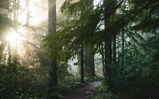 The Four Noble Truths: The Path Out Of Pain