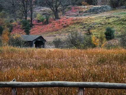 The Four Stages Of Life