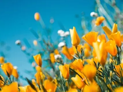 The Four Steps Of Awareness