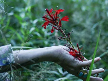 The Four Steps To Awareness