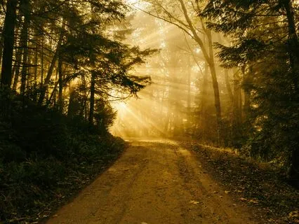 The Fourth Noble Truth: The Eightfold Path Of Practice