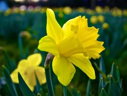 The Freedom Of Being Yourself- March 03