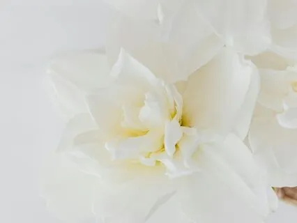 The Freedom Of Emptiness