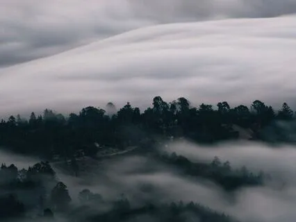 The Freedom Of Not Knowing