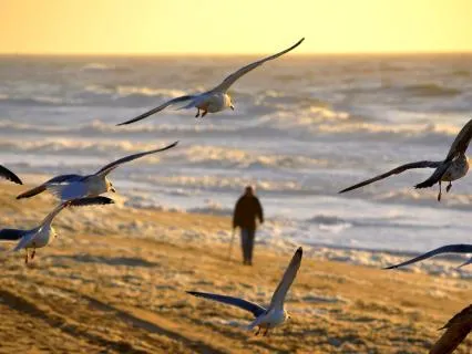 The Freedom To Choose Yourself: Self-Trust & Boundaries