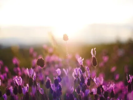 The Frequency of Being