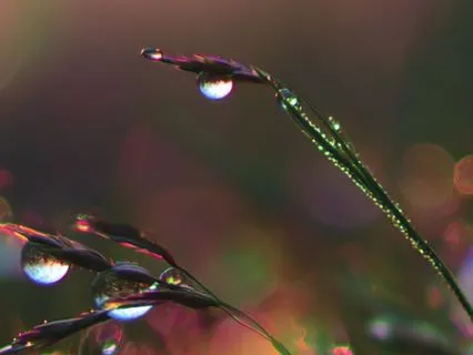 The Frequency Of Enough: A Yoga Nidra For Abundance