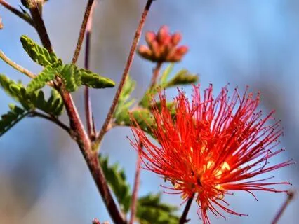 The Frequency Of Your Becoming