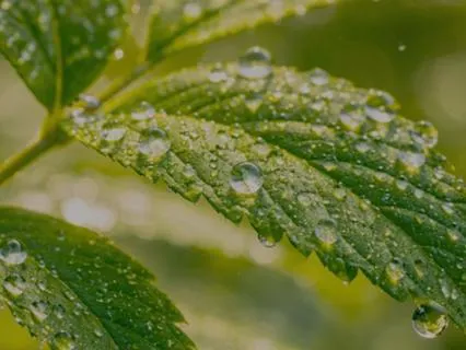 The Freshness Of This Moment