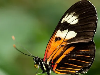 The Full Abundance Change Me Prayer