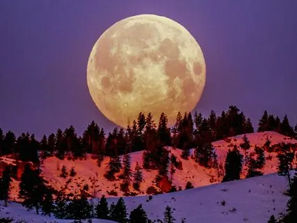 The Full Moon Above Sound Bath