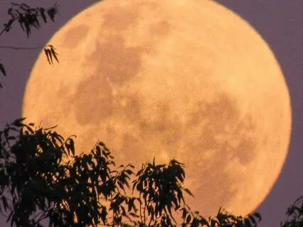 The Full Moon Arrives