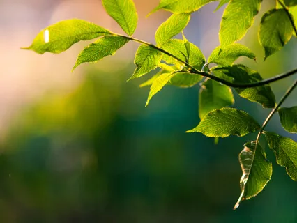 The Fullness And Richness Of Presence