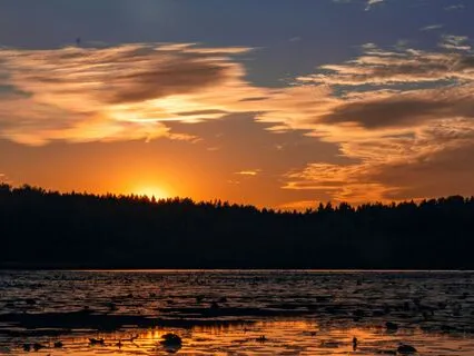 The Future Is in the Sky