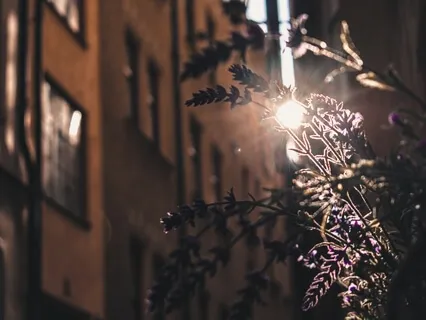 The Future Of Meditation + Exercise