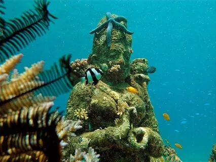 The Gaia Grounding Sequence