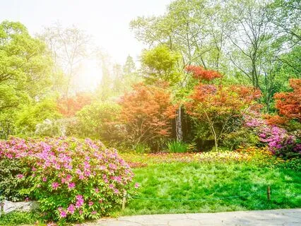 The Garden Of Life For Tranquility And Clarity