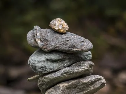 The Garden Of New Pathways