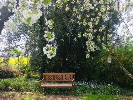 The Garden Of Peace: A Place To Melt Away Worry