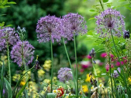 You Belong (Visualization)