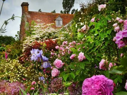 The Garden Of Wild Words