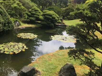 The Garden: Tend To Your Inner And Outer Space With Love