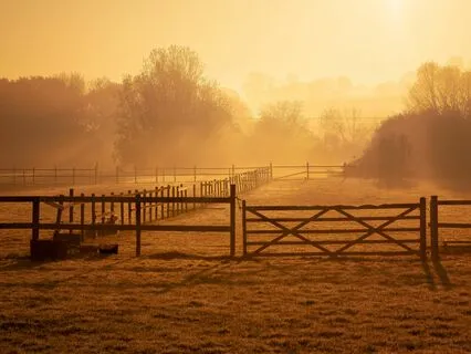 The Gate Of The Year