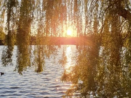 The Gayatri Mantra - A Universal Prayer