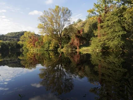 The Gayatri Mantra! Let's Chant!