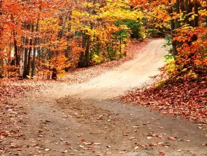 The Gentle Art Of Letting Go & Finding Peace