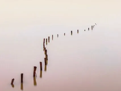 The Gentle Entrepreneur